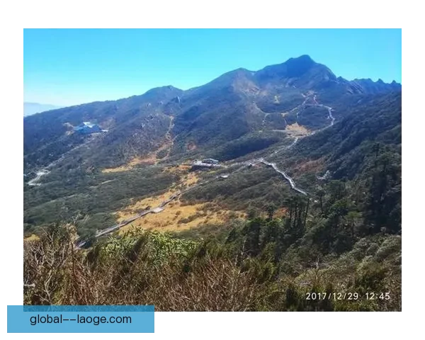 凯恩对阵摩纳哥美洲杯对位优势与战术博弈深度解析全景观察洞察版